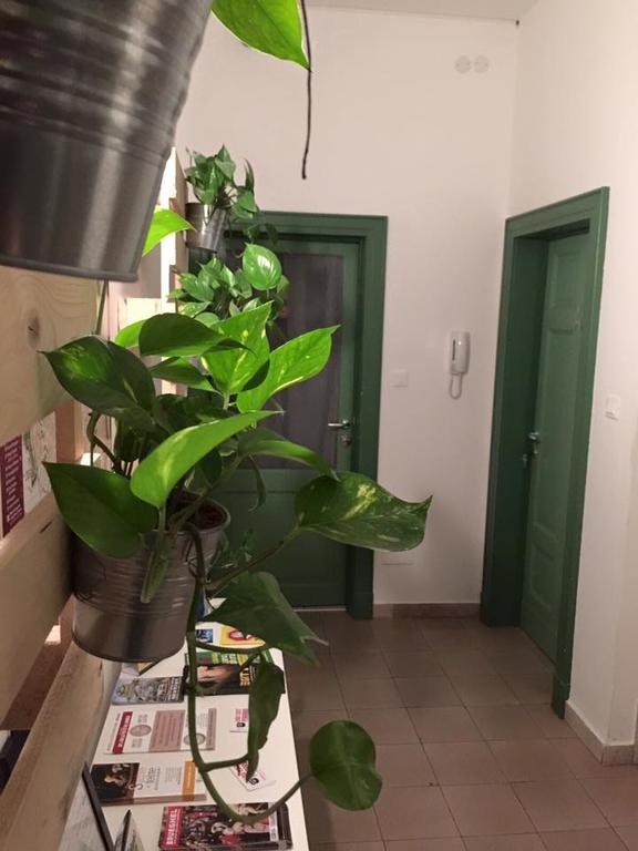 Low Cost Ferrara Exterior photo